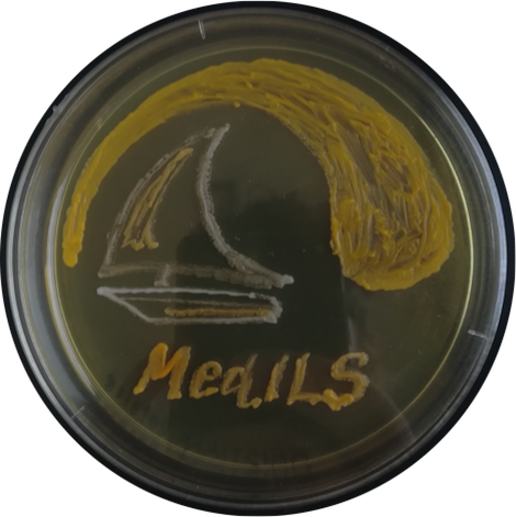 Microbes of MedILS